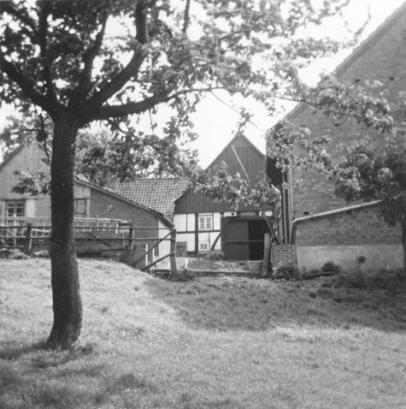Der Hof um 1950
