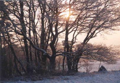 Winterstimmung